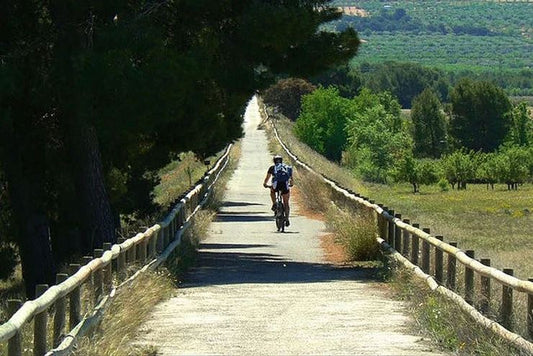 Europa podrá ser recorrida en bici gracias a una red de ciclovías que conectará 43 países. - Pescuezo