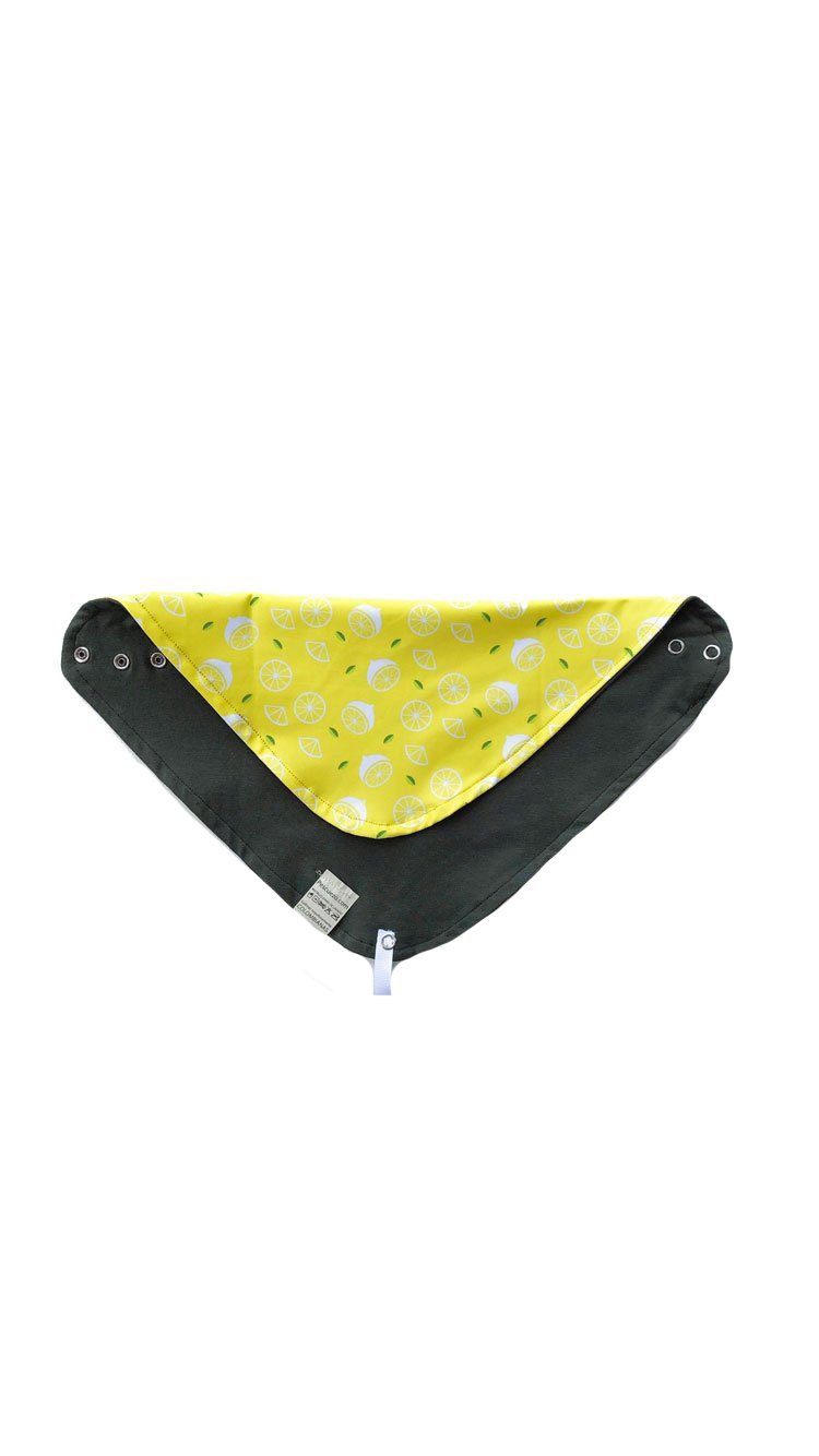 Babas Limas Broches Pescuezo
