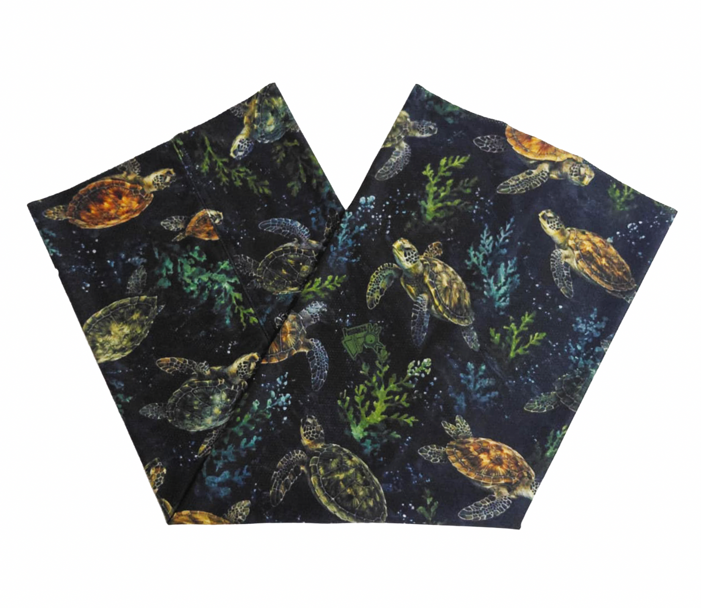 Peta Tortugas Marinas